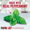 image:imageBrachs Mini Peppermint Candy Canes Christmas Candy Stocking Stuffers Holiday Classic 260ct 40 oz TubPeppermint