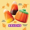 image:imageBrachs Autumn Mix Candy 11 Ounce Bag